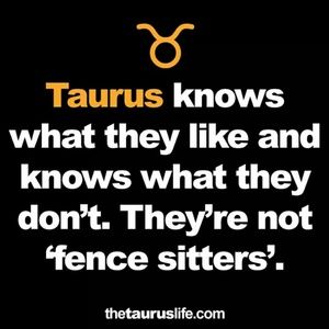 Meet your Posher, Reecko